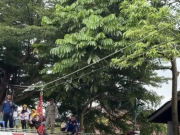 Diserbu Pengunjung, Flying Fox Damkar Purbalingga Ramaikan CFD