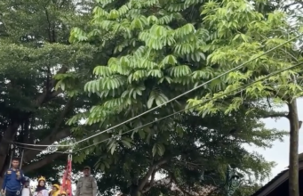 Diserbu Pengunjung, Flying Fox Damkar Purbalingga Ramaikan CFD